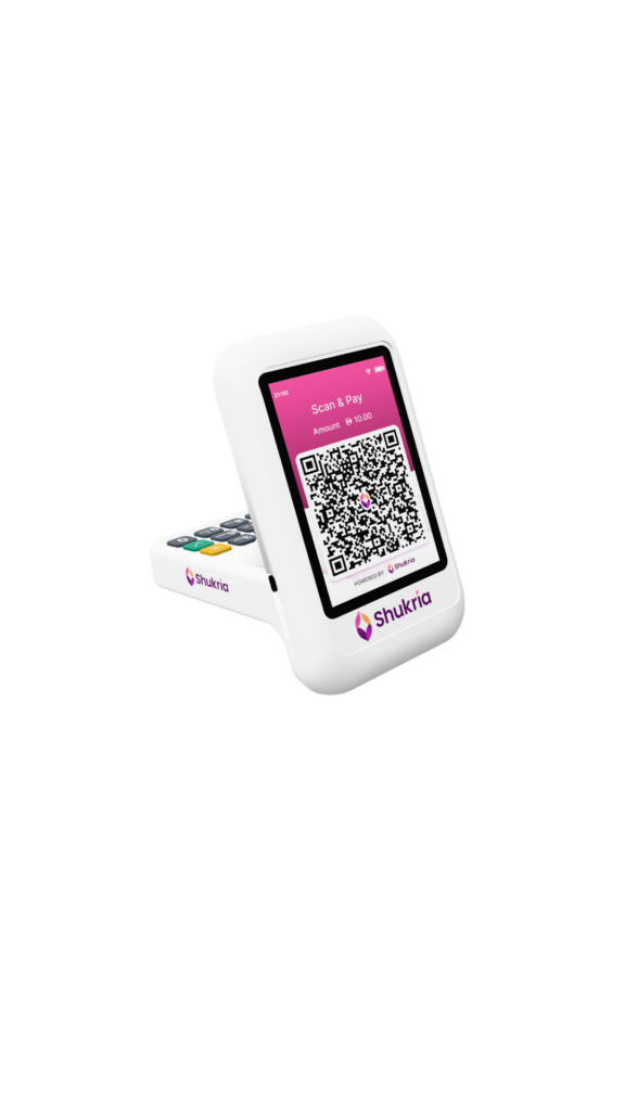 DayPAy-POS 3